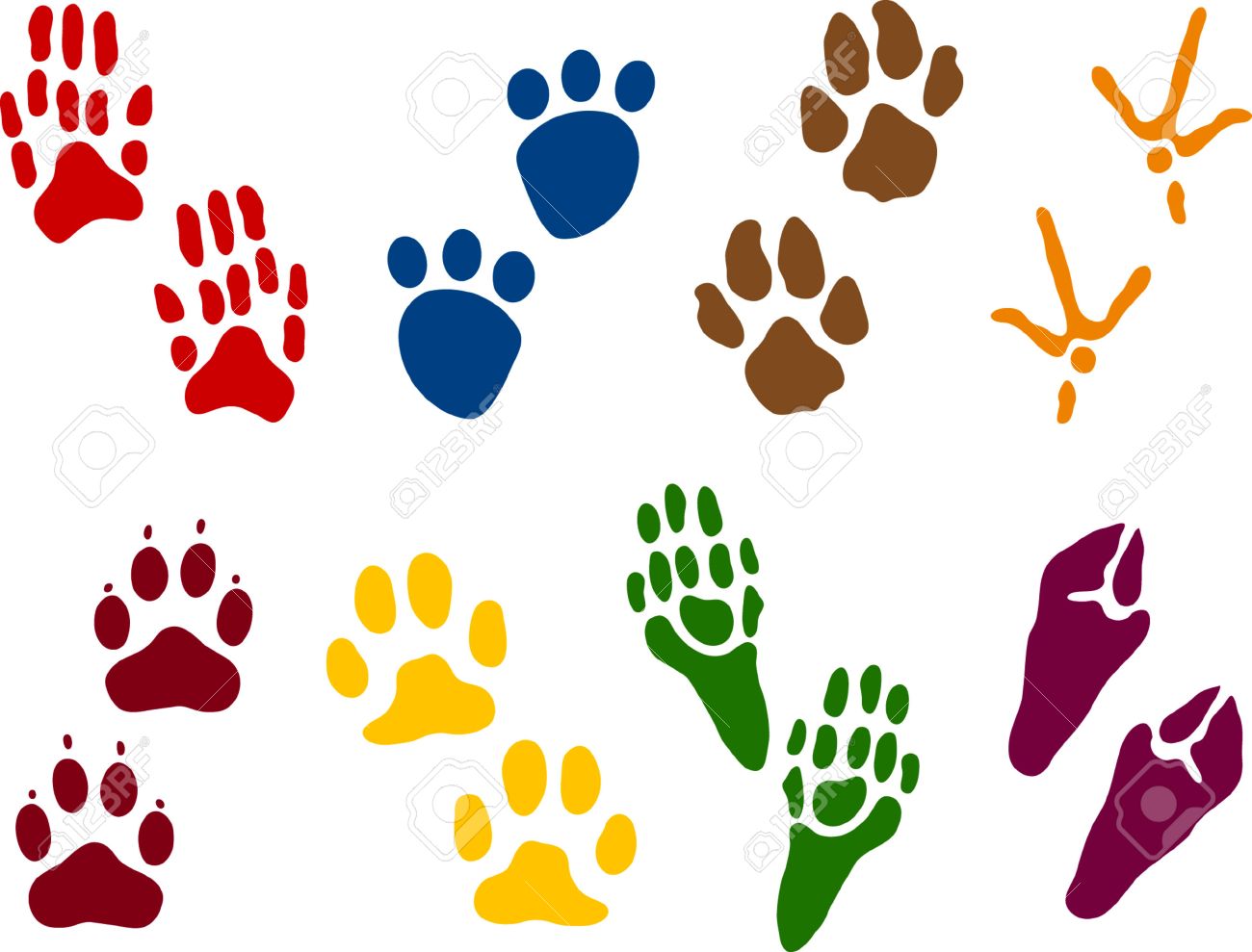 1300x989 Eight Sets Of Animal Tracks Royalty Free Cliparts, Vectors,