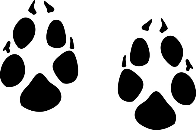 Animal Tracks Cliparts | Free download on ClipArtMag