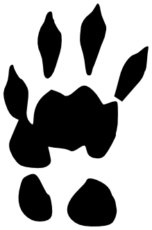 219x330 Marmot Track