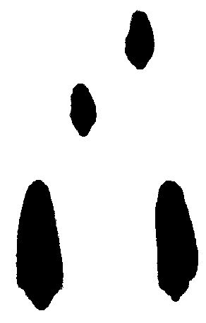 292x456 Rabbit Tracks Clipart