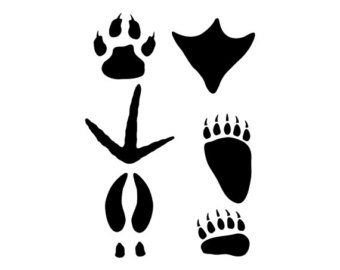340x270 Turkey Footprint Clipart