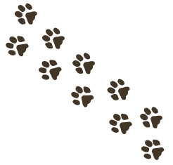 246x235 Animal Paw Prints Clip Art