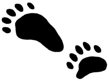 350x261 Animal Track Stamps