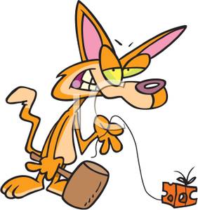 282x300 Cat Trying To Make A Mouse Trap