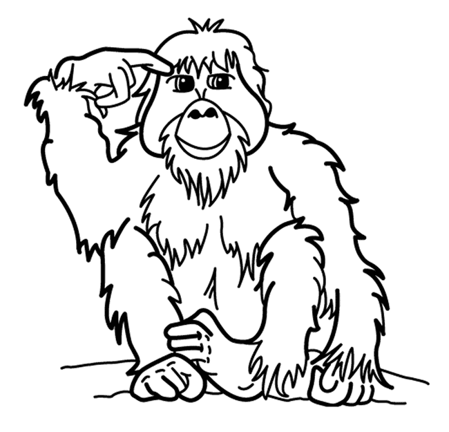 650x625 Orangutan Clipart Black And White