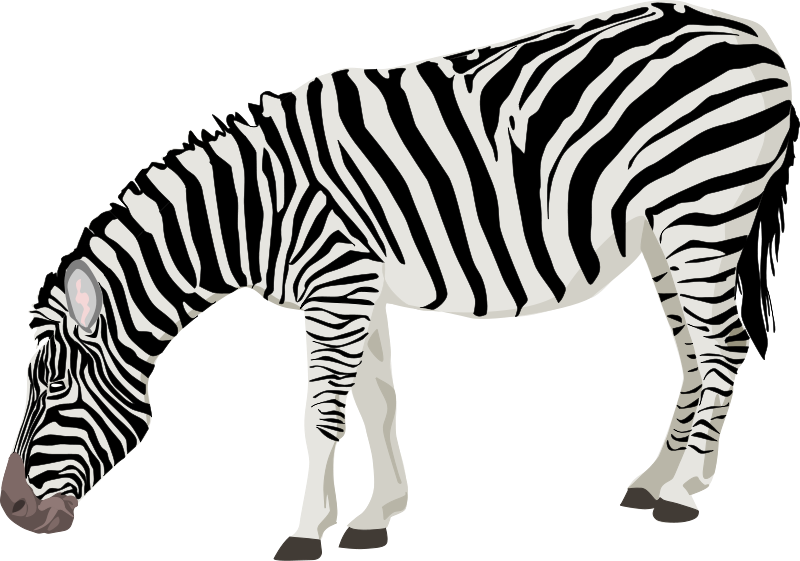 800x561 Farm Animals Clipart Zebra Animal