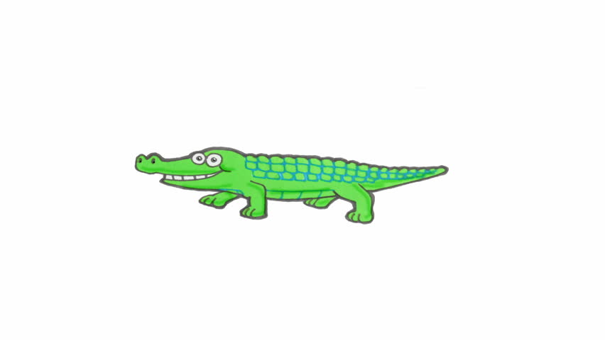 852x480 Crocodile Alligator Open His Mouth. Animated Motion Graphic