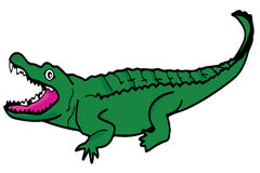240x160 Top 80 Alligator Clipart