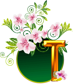 250x290 Animated Alphabet Blooms Flowers Page Sixteen Artalphabet My