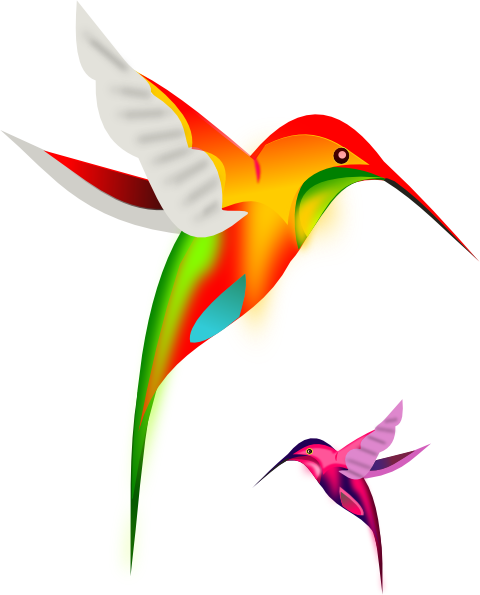 480x595 Bird Clip Art