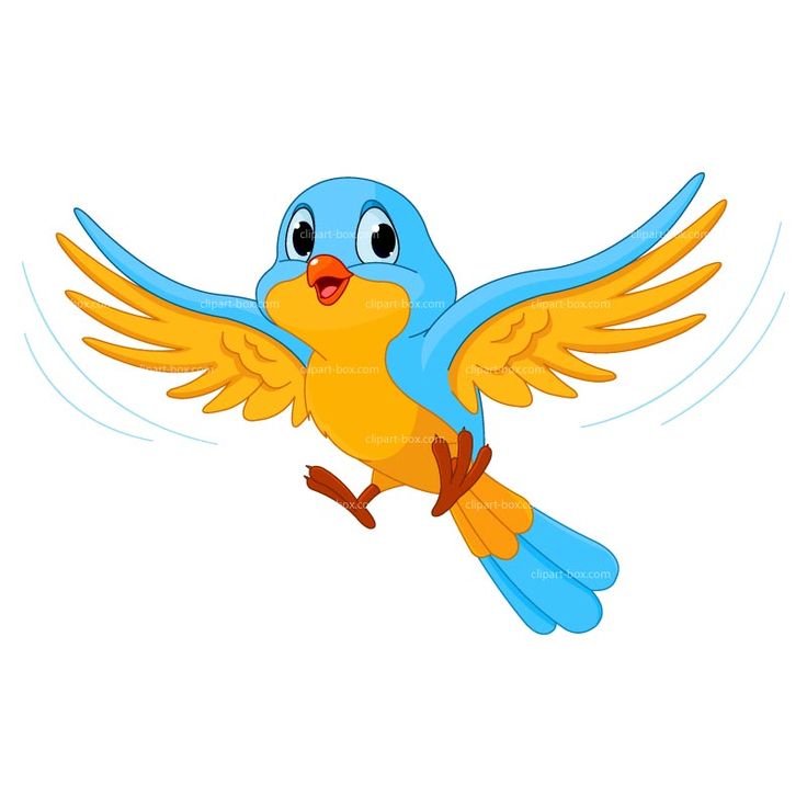 736x736 Animated Bird Clipart