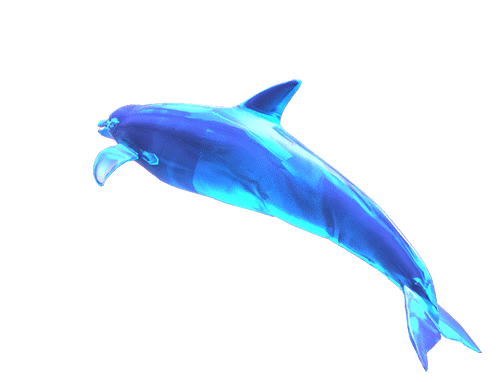 500x382 Cool Animated Dolphins Clip Art Images