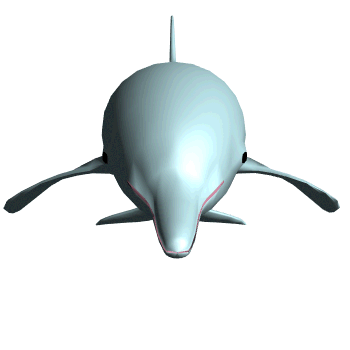 350x350 Dolphins Clipart Animated