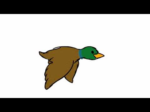 480x360 Ces 2012 Clips Animated Flying Duck