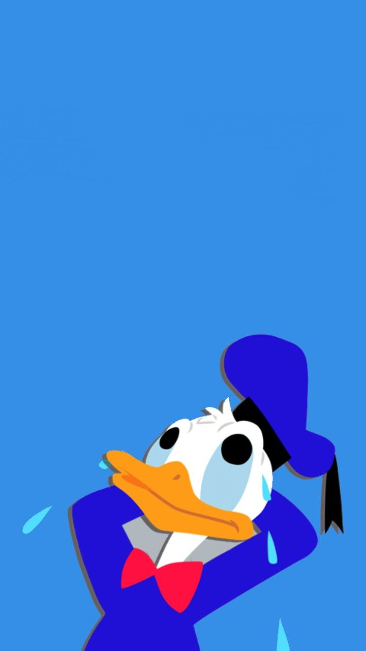 720x1280 1269 Best Donald Duck Images Beautiful