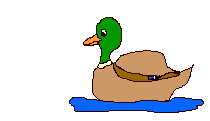 210x121 Ducks And Geese Animations Animals