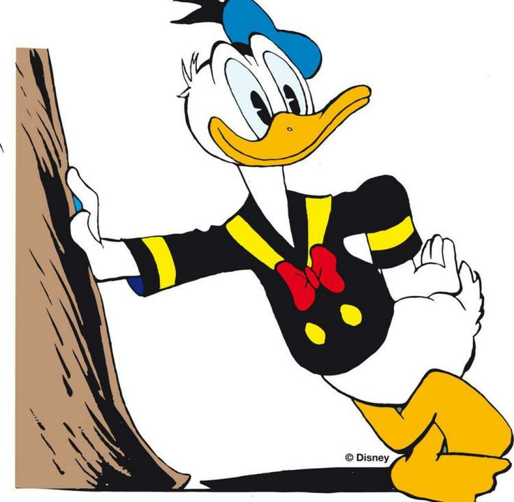736x719 3104 Best Anything Donald Duck Images Animation