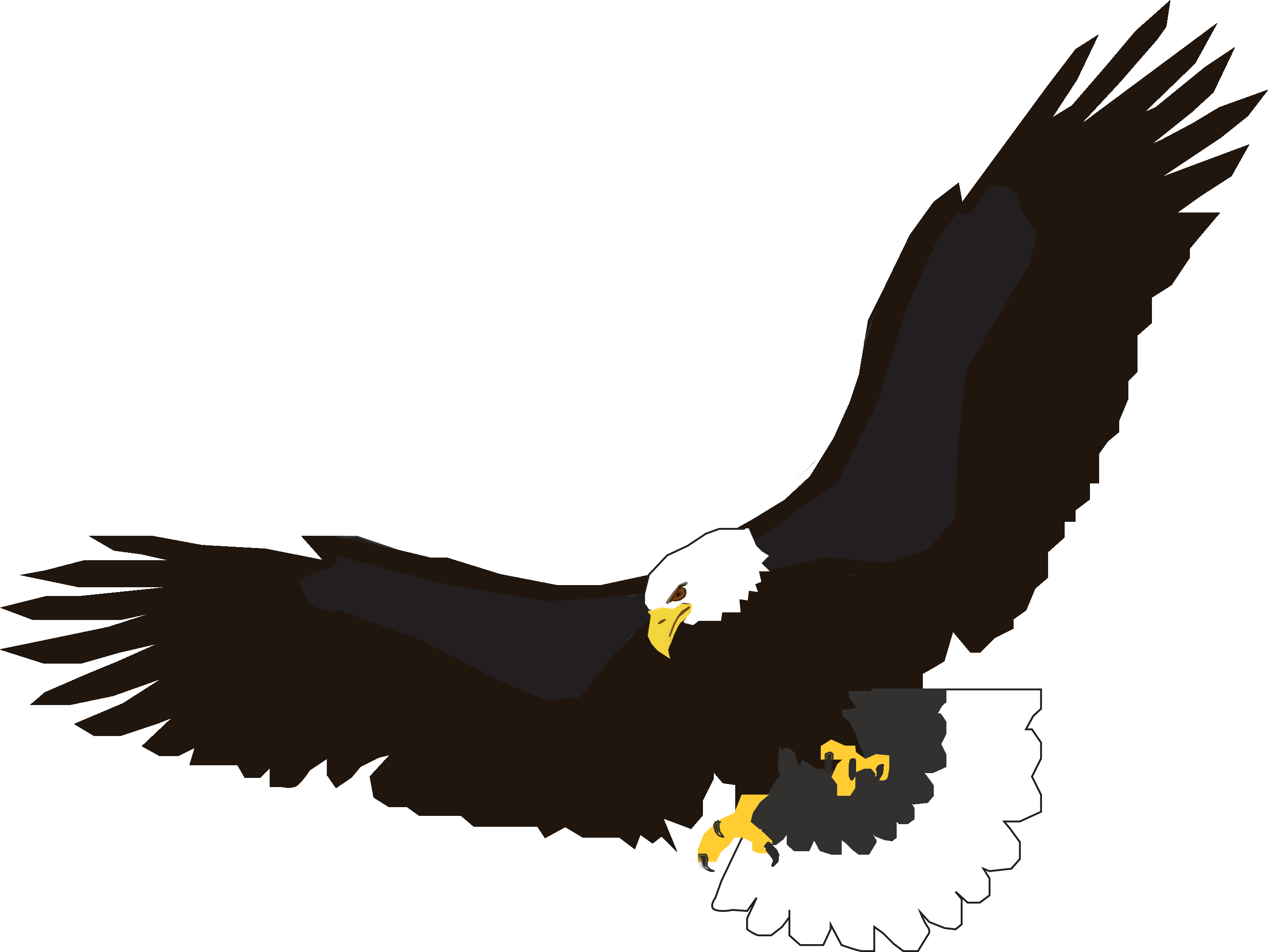 2906x2182 Download Eagle Free Png Photo Images And Clipart Freepngimg