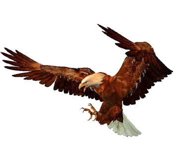 350x306 Eagle Clipart Animated Gif