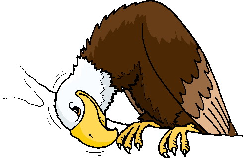 490x318 Top 84 Eagle Clipart