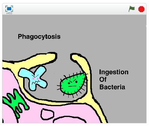 497x419 Best Create Animation Ideas Create A Cartoon