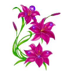 211x255 Free Animated Flowers Gifs, Free Flower Animations And Clipart