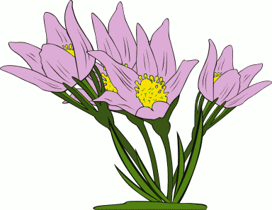 384x297 Animated Clipart Flower