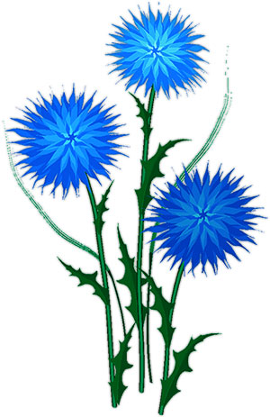 300x463 Blue Flower Clipart Animated Flower