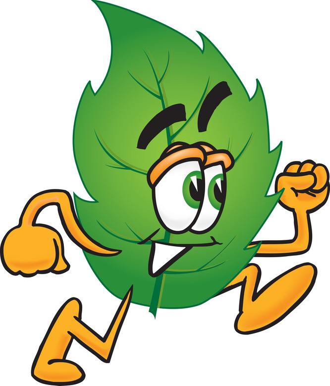 666x779 Forest Clipart Forest Ecosystem