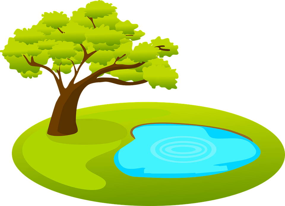 960x694 Pond Clipart Transparent