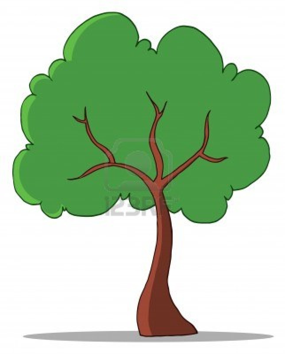 966x1200 Tree Clipart Rainforest