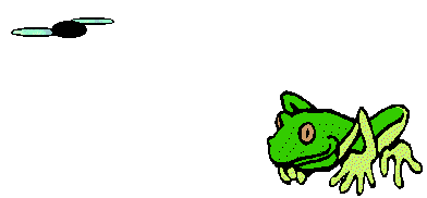 392x182 Free Animated Frogs Page 5 By Animation Station. Free Animated