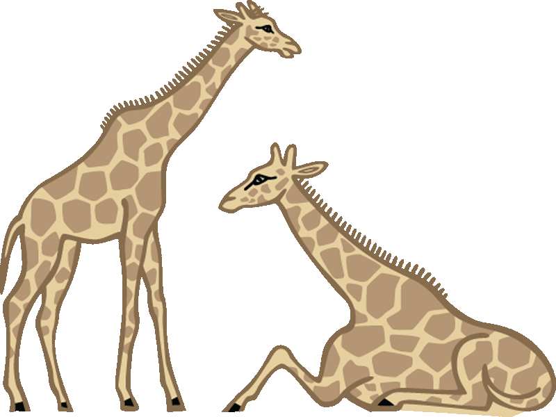 800x600 Giraffe Clipart