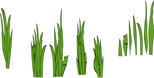 600x303 Grass Blades And Clumps Clip Art