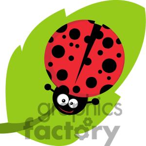 300x300 Cartoon Ladybug Clipart