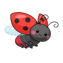 220x220 Lady Beetle Clipart Animated