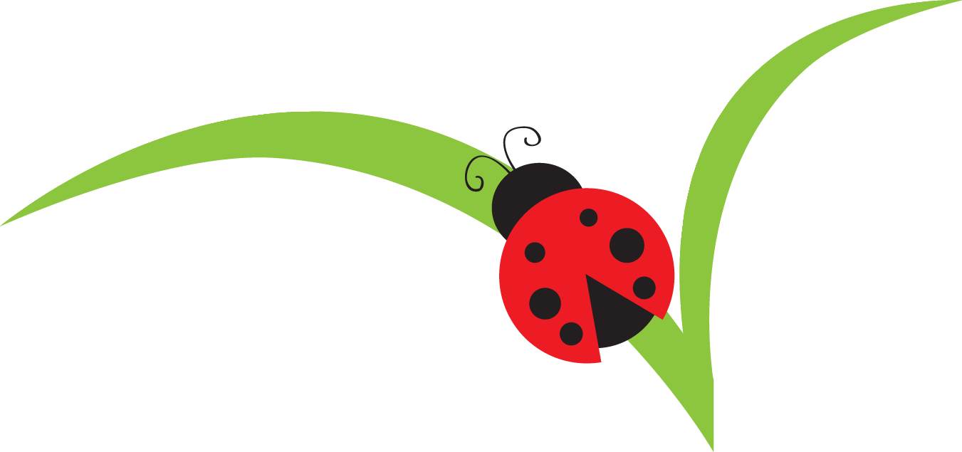 1351x635 Lady Beetle Clipart Red Ladybug