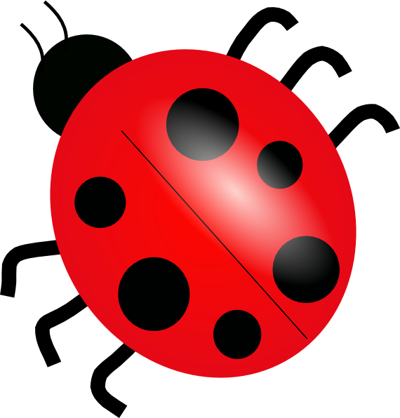 570x596 Ladybug 3 Clip Art