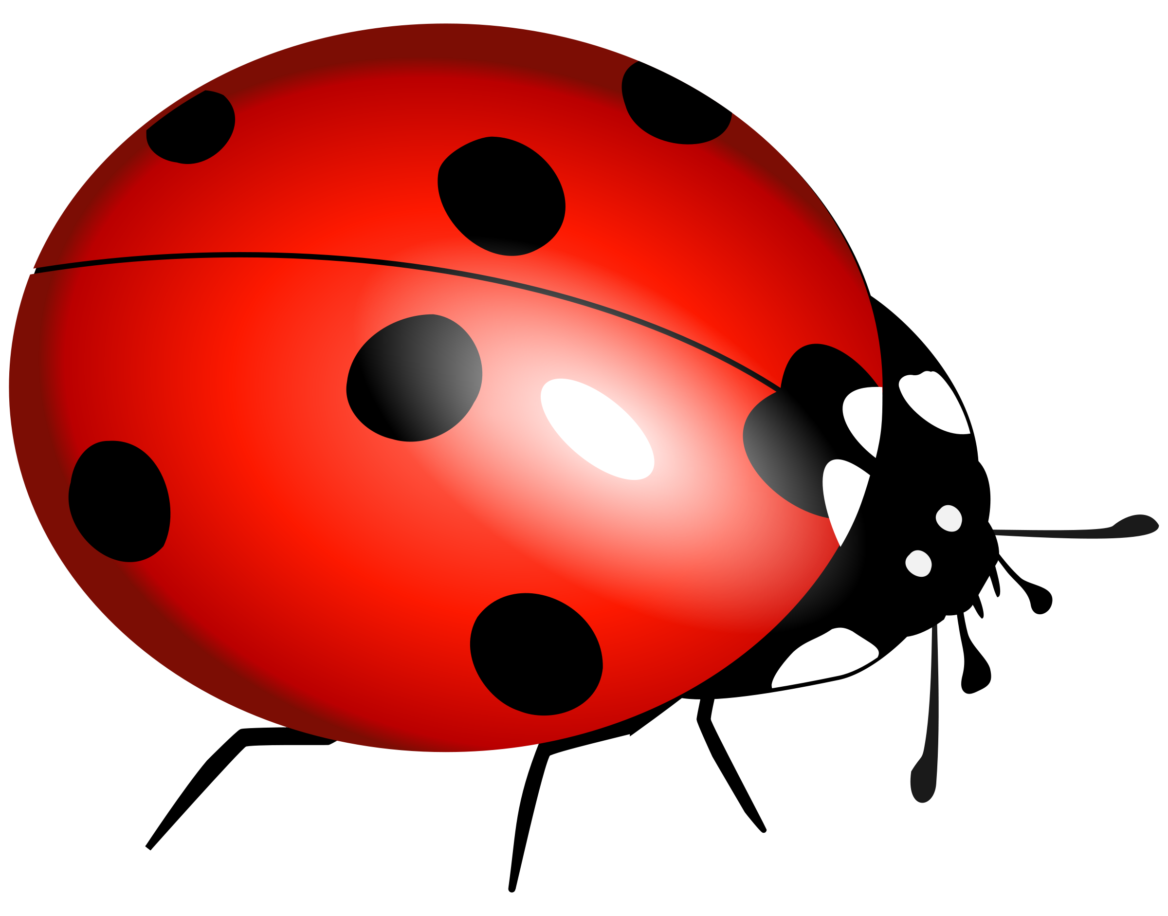 2400x1882 Ladybug Clipart Transparent