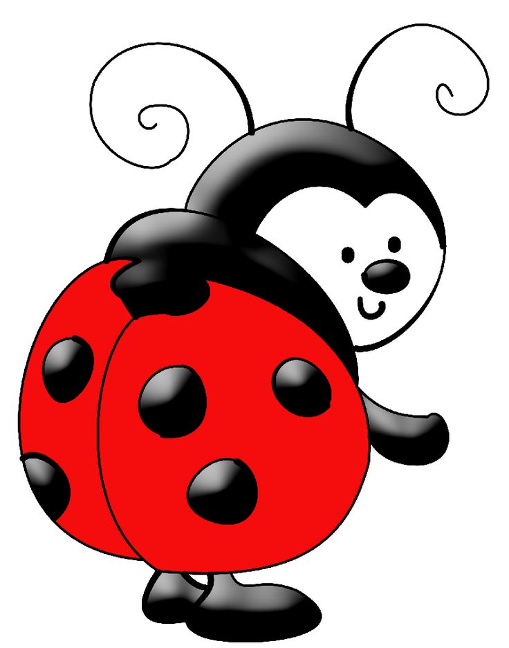 736x937 Ladybug Lady Bug Clip Art