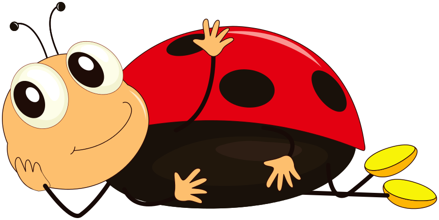 905x454 Cartoon Animal Clipart Ladybug