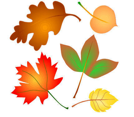 430x373 Graphics For Falling Leaves Animated Graphics