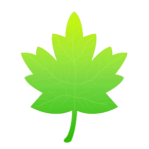 300x300 Animated Clipart Leaf