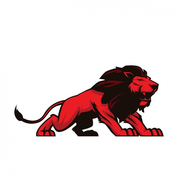 626x626 Lion Vectors, Photos And Psd Files Free Download