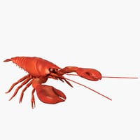 200x200 Lobster 3d Models For Download Turbosquid