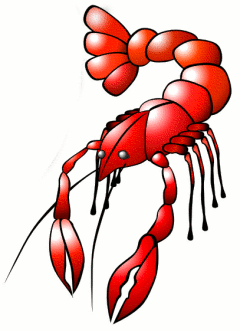 240x331 Lobster Clipart Animated