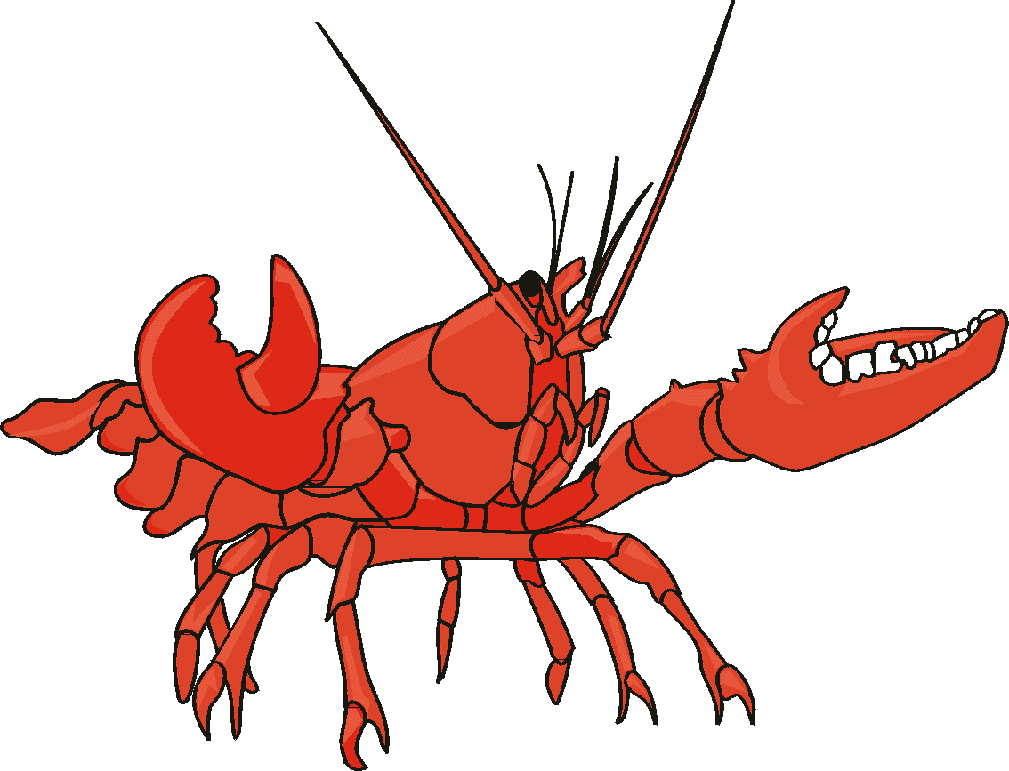 1134x867 Best Lobster Clipart