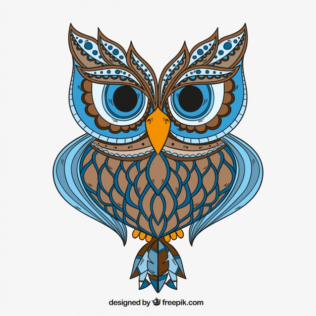 626x626 Owl Vectors, Photos And Psd Files Free Download