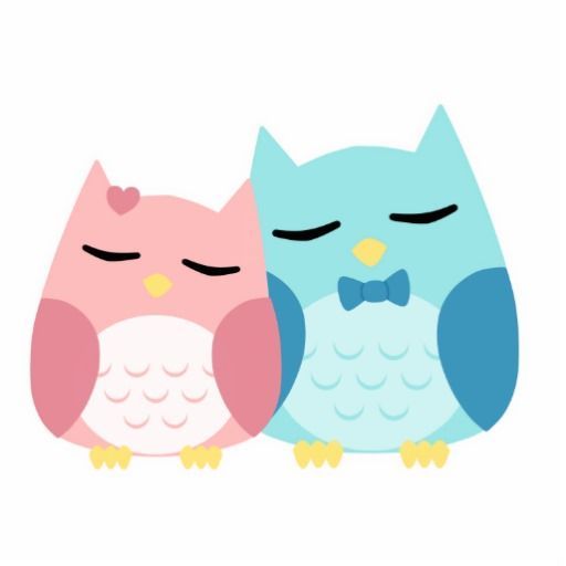 512x512 The Best Cute Owl Cartoon Ideas Owl Cartoon