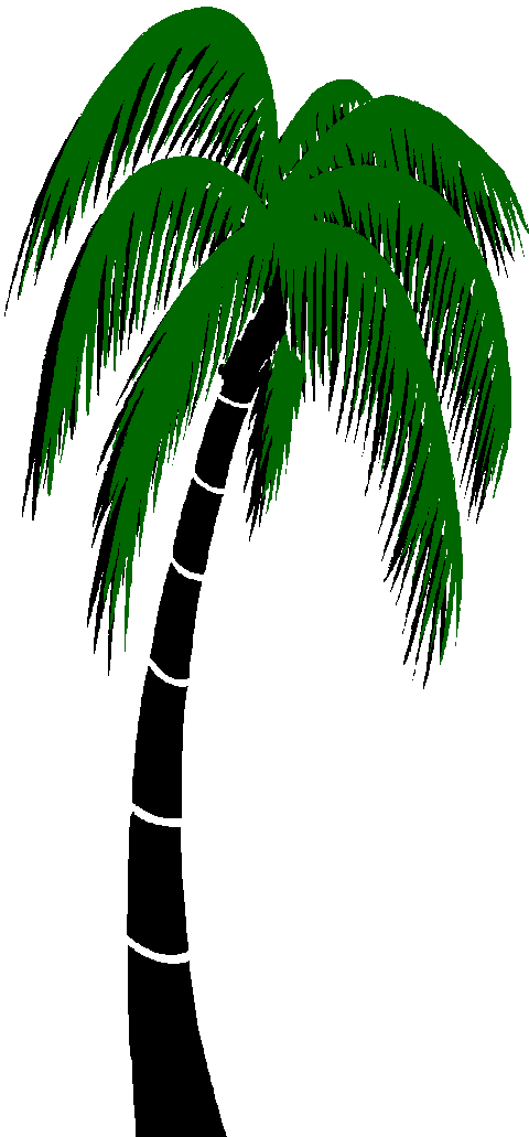 480x1031 Graphics For Palm Trees Animated Graphics